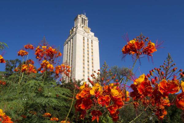 UT Tower with flowers