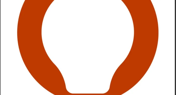 fas innovation lightbulb icon - burnt orange